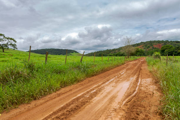 istock Brazilian dirt road 1225585942