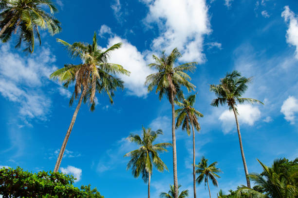 istock Thailand. Beach. Sand and waves. 1225585970