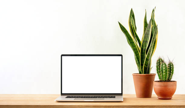 istock Laptop with empty monitor standing on a working desk, front view 1225586859