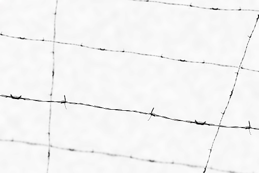 Barbed wire and sky.