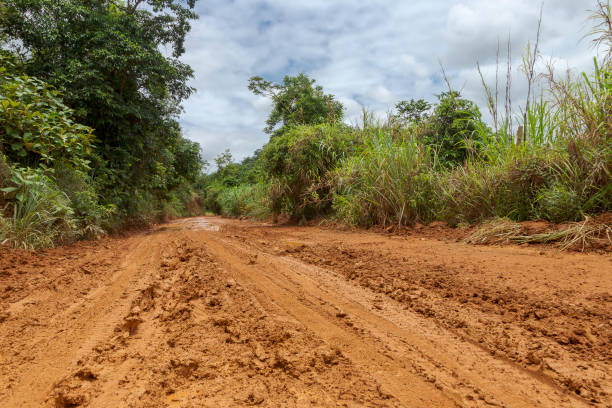 istock Brazilian dirt road 1225587752