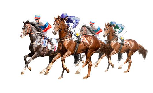 Four racing horses neck to neck in fierce competition for the finish line on wite background. Digital collage
