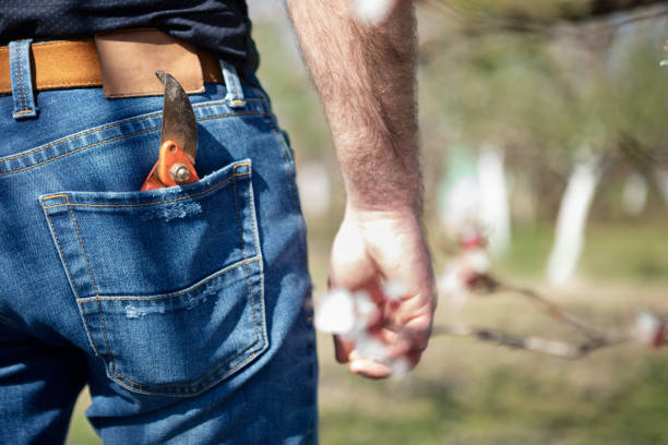 istock Spring works in the garden 1225587991