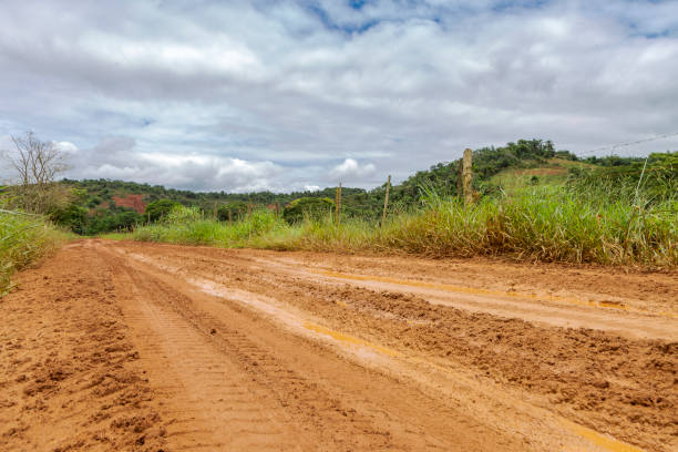 istock Brazilian dirt road 1225592422