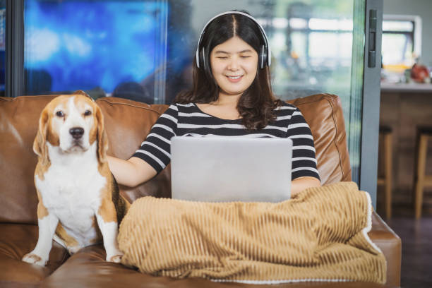 mulher de negócios asiática usando laptop de tecnologia e fone de ouvido para trabalhar em casa sentado com cachorro - dog school audio - fotografias e filmes do acervo