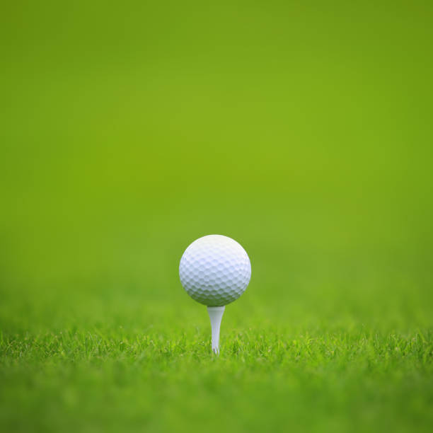 istock Golf ball on green grass background 1225594485
