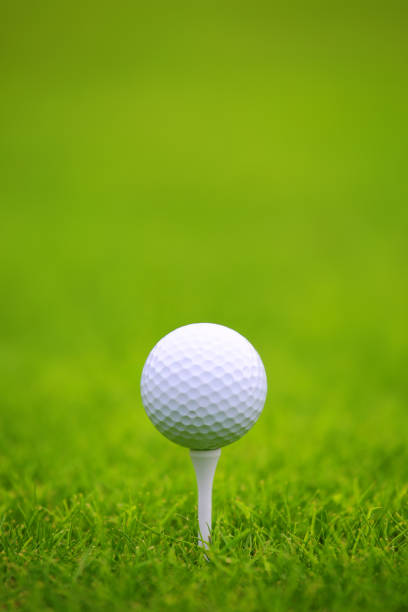 istock Golf ball on green grass background 1225594486