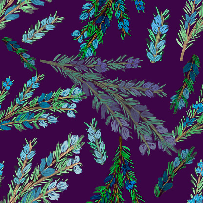 Watercolor rosemary branch with blue flowers and green needles on dark violet background. Seamless pattern. Cooking, kitchen, spices, herbs print, packaging, wallpaper, tableware design.