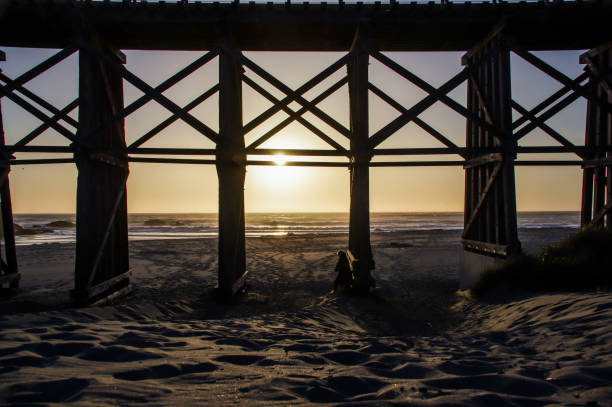 istock Woman in silhouette on the beach 1225597001