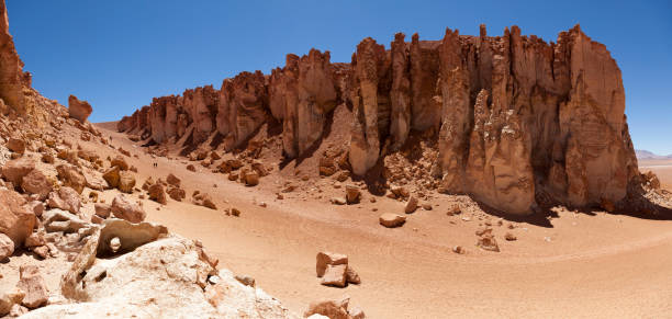 istock Atacama. North of Chile 1225603041