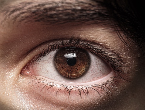 macro photography of a brown human eye