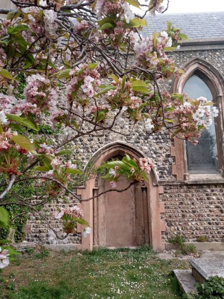 istock Church Arch Wall Feature in England with Tree Blossom 1225604608