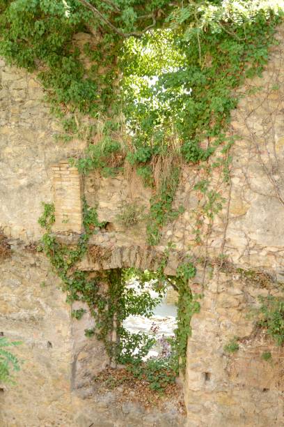istock Ivy on ancient city walls 1225607362