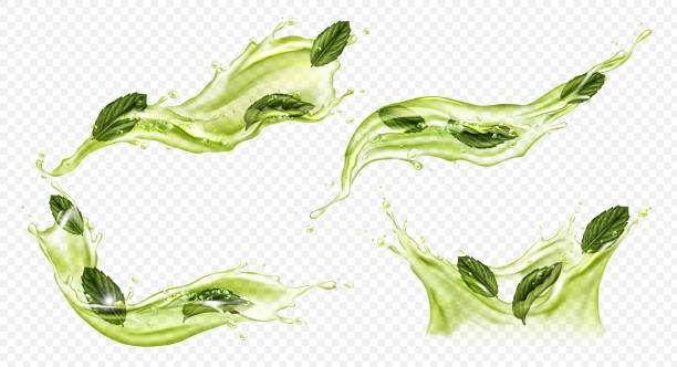 vektor realistische spritzer von grünem tee oder matcha - green tea illustrations stock-grafiken, -clipart, -cartoons und -symbole