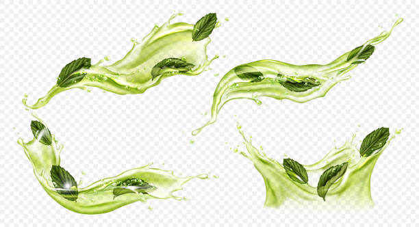 緑茶または抹茶のベクトル現実的なスプラッシュ - 抹茶点のイラスト素材／クリップアート素材／マンガ素材／アイコン素材
