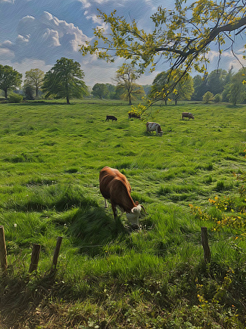 Artwork - A beautiful cow grazing in the pasture