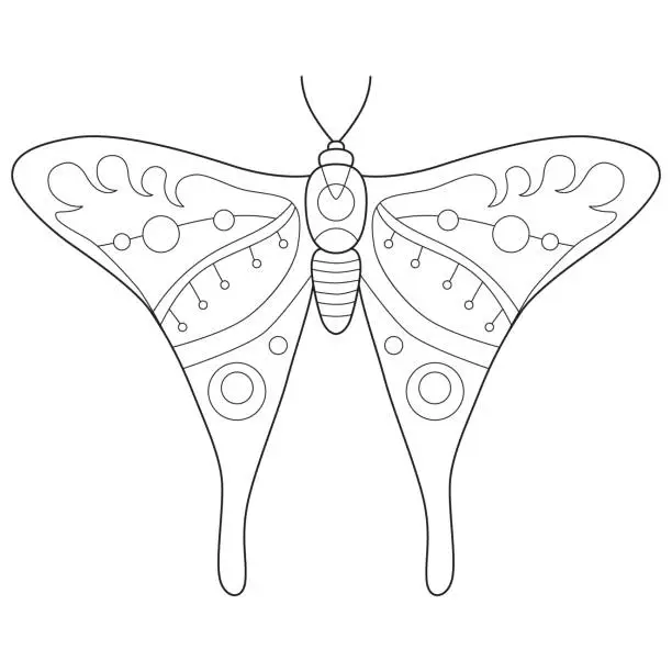 Vector illustration of Vintage butterfly. Hand drawn butterfly, isolated on white