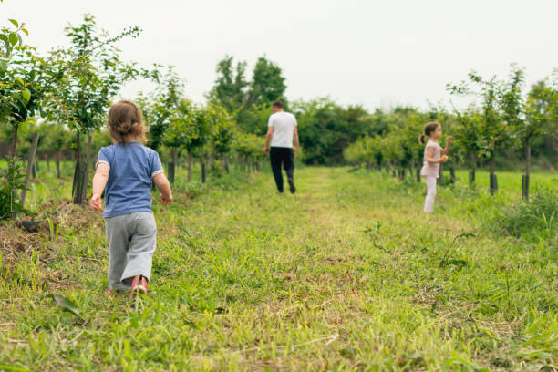 istock Family in orchard 1225609306