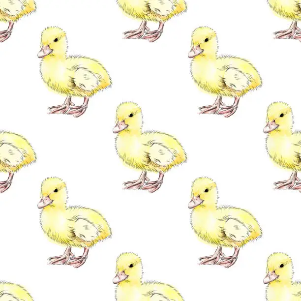 Vector illustration of Seamless Duckling Pattern  - Ink and Watercolor Vector EPS10 Illustration