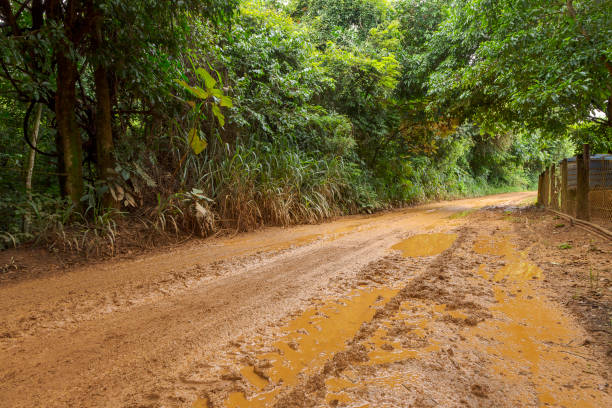 Dirt road with mud, after rain, in a rural area of ​​Guarani, state of Minas Gerais, Brazil