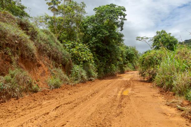 istock Brazilian dirt road 1225613889