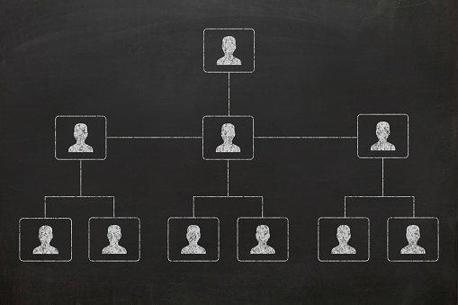 Teamwork organization group organization hierarchy