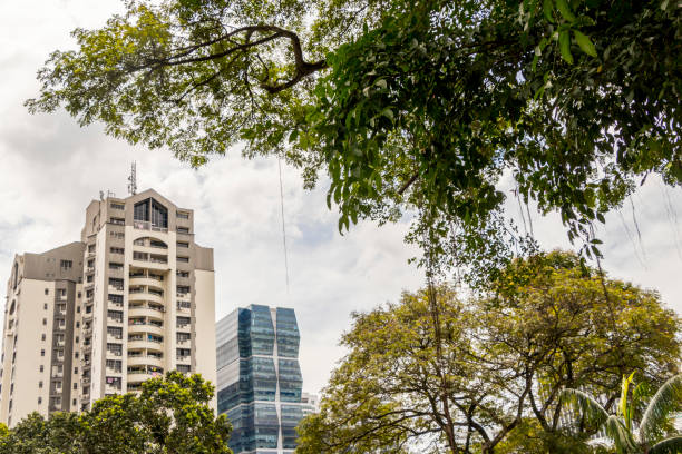 istock Huge skyscrapers behind tropical nature, Kuala Lumpur. 1225616849