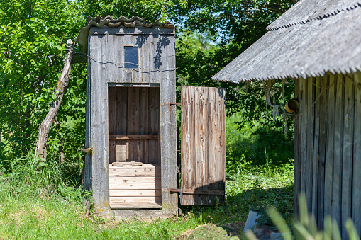 Rustic toilet in garden amid greenery door is open