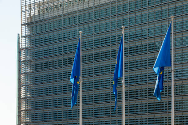 istock European flags waving in the wind 1225619789
