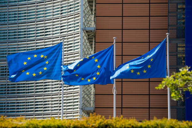 istock European flags waving in the wind 1225621195