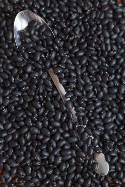 istock background of black beans 1225621344
