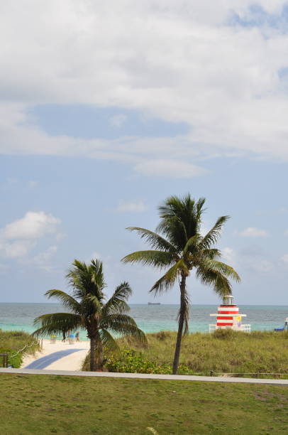 istock Palms and Lifeguard Hut 1225622051