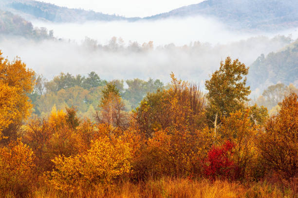 istock Foggy autumn landscape 1225623872