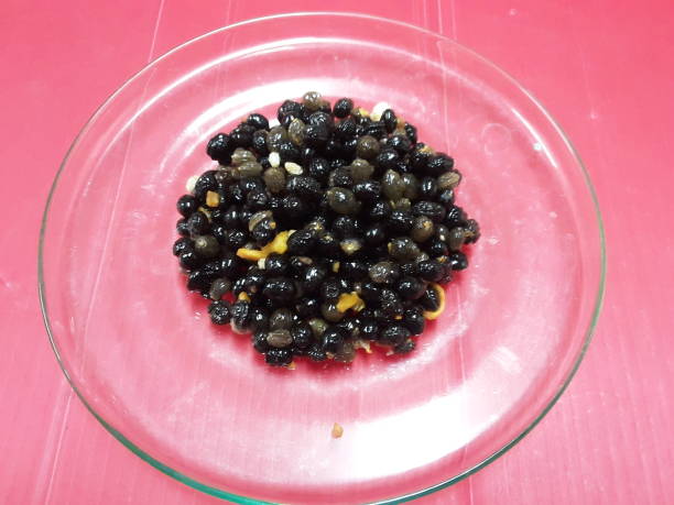 istock Decorate  Black Papaya Seeds 1225624194