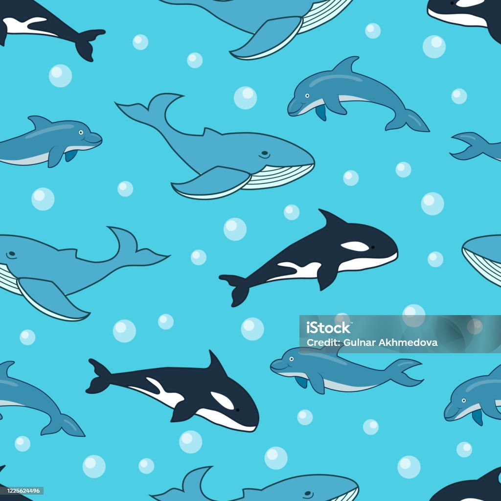 Seamless Sea Animals Pattern With Ocean Mammals Blue Whale Killer Whale  Dolphins Sea Mammals Pattern Design Stock Illustration - Download Image Now  - iStock