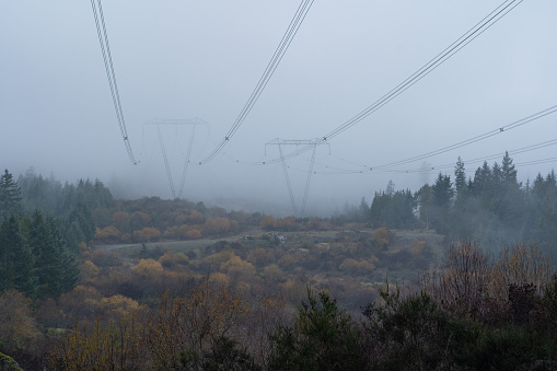 Power lines in a rainy environment on Vancouver Island.