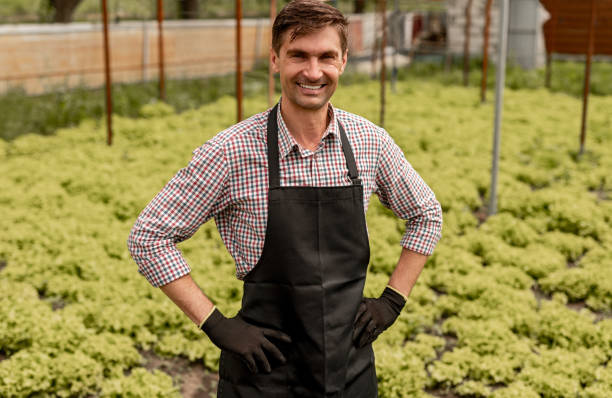 istock Happy successful farmer standing on lettuce plantation 1225628744