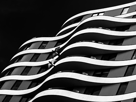 Curve black and white facade of a residence building concrete and glass and the two pigeons