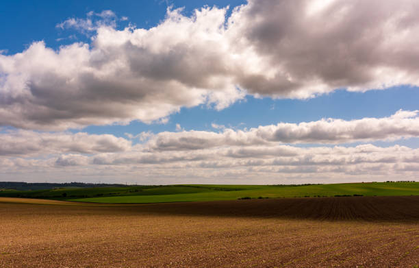 istock green and brown field landscape 1225630311