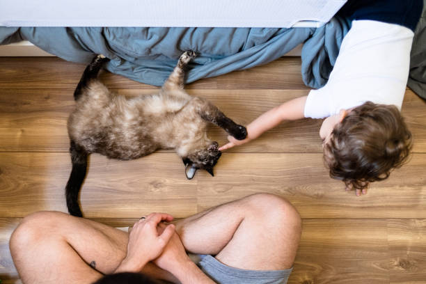 istock Father and Son Playing with a Cat 1225633217
