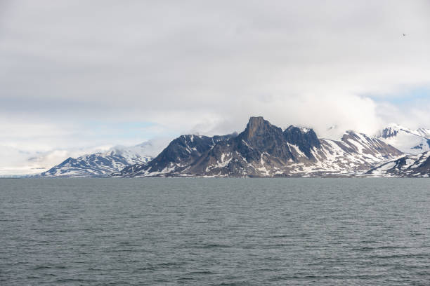 istock Arctic landscape in Svalbard with glacier 1225633519
