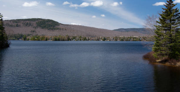 istock Lake in Canadian Forest 1225638474