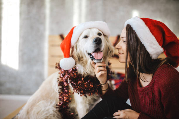istock Christmas with my four-legged friend 1225644406