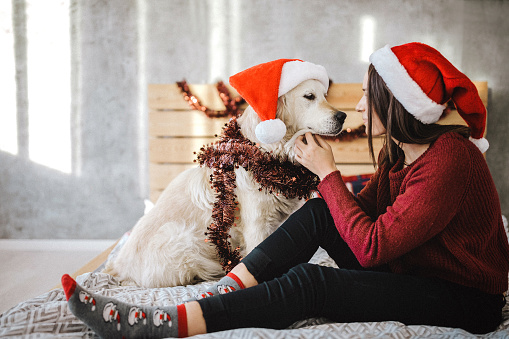 Beautiful young woman sitting on bed with her dog, both Santa hat, in the bedroom