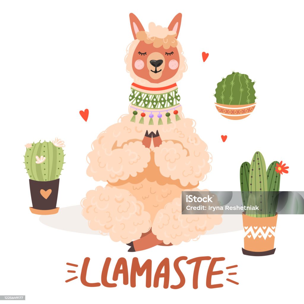 Ilustración de Bonita Alpaca De Dibujos Animados En La Pose De Yoga Frases  De Letras Inspiradoras Llamas Con Cactus y más Vectores Libres de Derechos  de Yoga - iStock