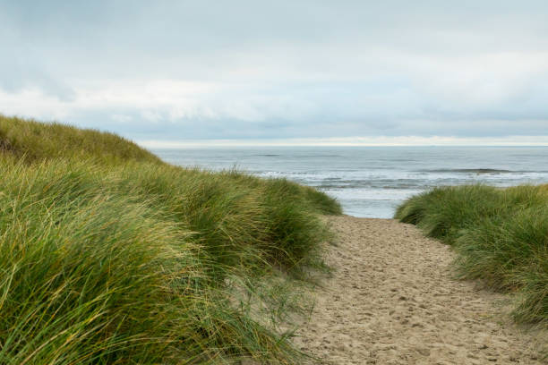 istock A nice panorama with sand dunes on North Sea from Texel island, Netherlands 1225652411
