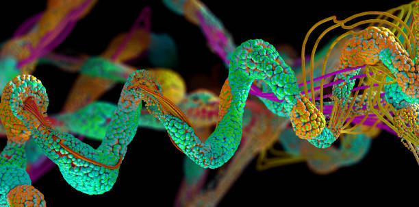 istock Chain of amino acid or bio molecules called protein - 3d illustration 1225652862