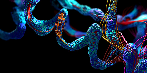 Cadena de aminoácidos o moléculas biológicas llamada proteína - Ilustración 3D photo