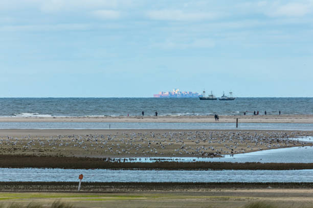 istock People are playing with kites on the seashore on Texel island, Netherlands. 1225652973