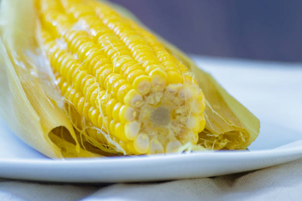 istock raw green corn cob with straw on wooden table with blue aged wood background 1225655498